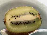 ����, �M, ����, �e�[�u�� ���܂܂�Ă���摜

AI �����R���e���c�͌����܂މ\��������܂��B