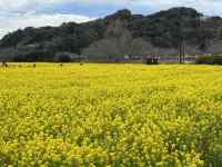 ��, ���O, �t�B�[���h, ���q ���܂܂�Ă���摜

AI �����R���e���c�͌����܂މ\��������܂��B