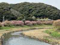 ��, ���O, ��, �R ���܂܂�Ă���摜

AI �����R���e���c�͌����܂މ\��������܂��B