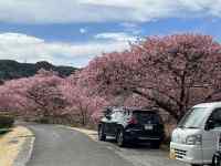 �R�̓��H�𑖂��

AI �����R���e���c�͌����܂މ\��������܂��B